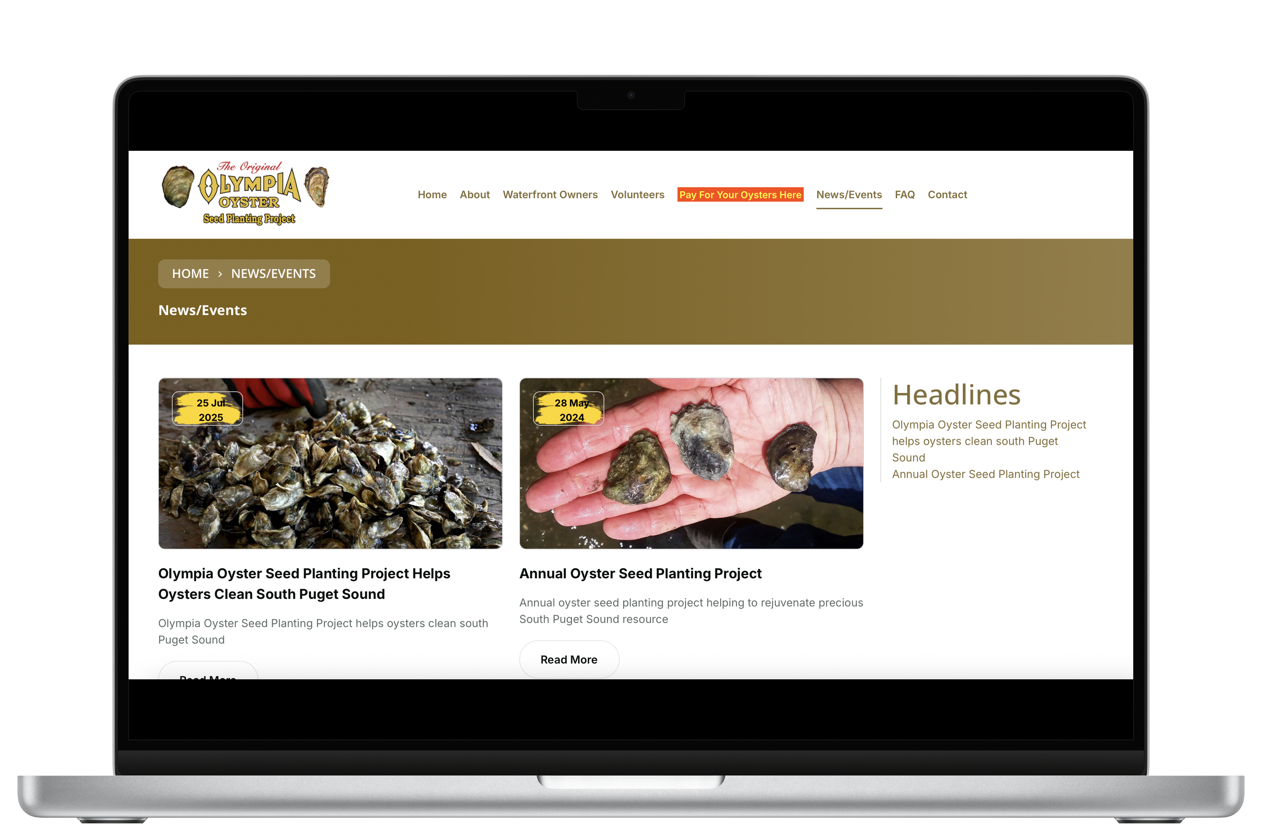 SummitClimb website on desktop